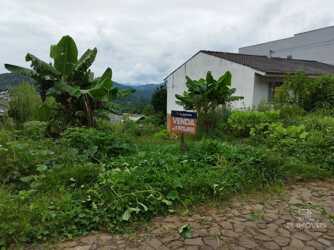 Terreno / Lote para vender no bairro Farroupilha, Videira - Santa Catarina